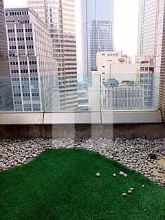 CHE SAN BUILDING (致生大廈)-RGP012237