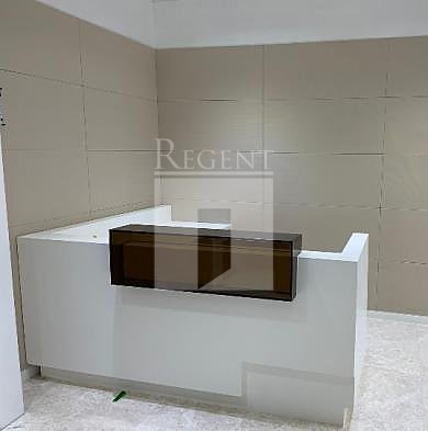 SKYLINE TOWER (宏天廣場)-RGP029697