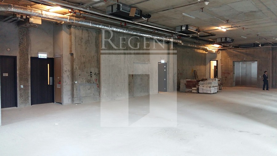 SOUNDWILL PLAZA II MIDTOWN (金朝陽中心二期)-RGP008277