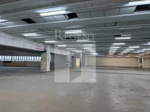 TAI PING INDUSTRIAL PARK (太平工業園)