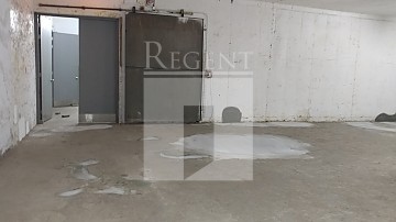 DAH KEUNG GODOWN (大強貨倉)-RGP019806