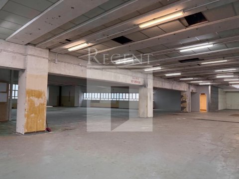 TAI PING INDUSTRIAL PARK (太平工業園)-C0573284