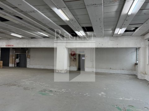 TAI PING INDUSTRIAL PARK (太平工業園)-C0573284