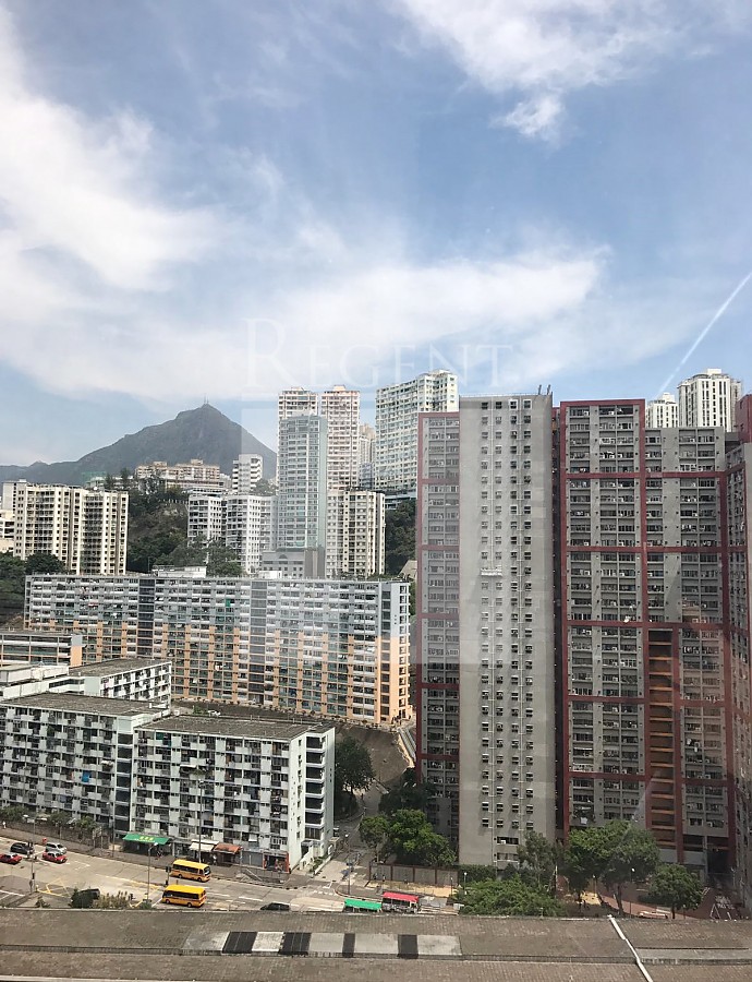 1 HUNG TO ROAD (鴻圖道1號)-RGP015936