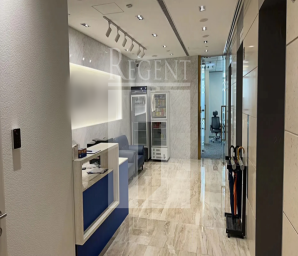33 DES VOEUX ROAD C (德輔道中33號)