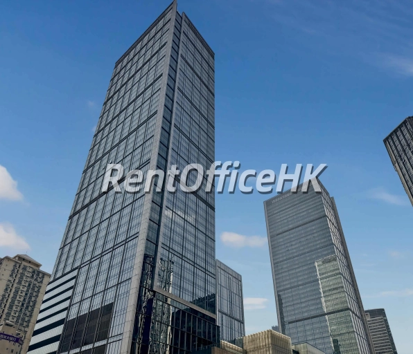 国际金融中心-中國內地務式辦公室