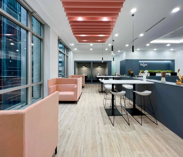 羅賓遜路61號-新加坡務式辦公室