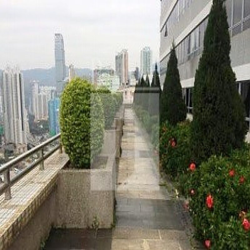 Modern glass skyscrapers in a business district