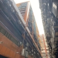 駱駝漆大廈第二座